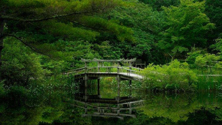nature, Bridge, Trees HD Wallpaper Desktop Background