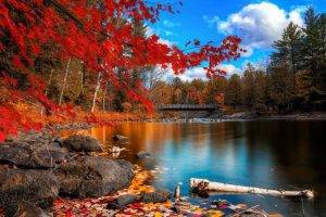 nature, River, Bridge, Fall