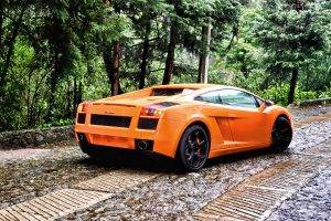 car, Forest, Lamborghini