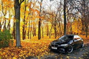 forest, Car, BMW, Nature, Road