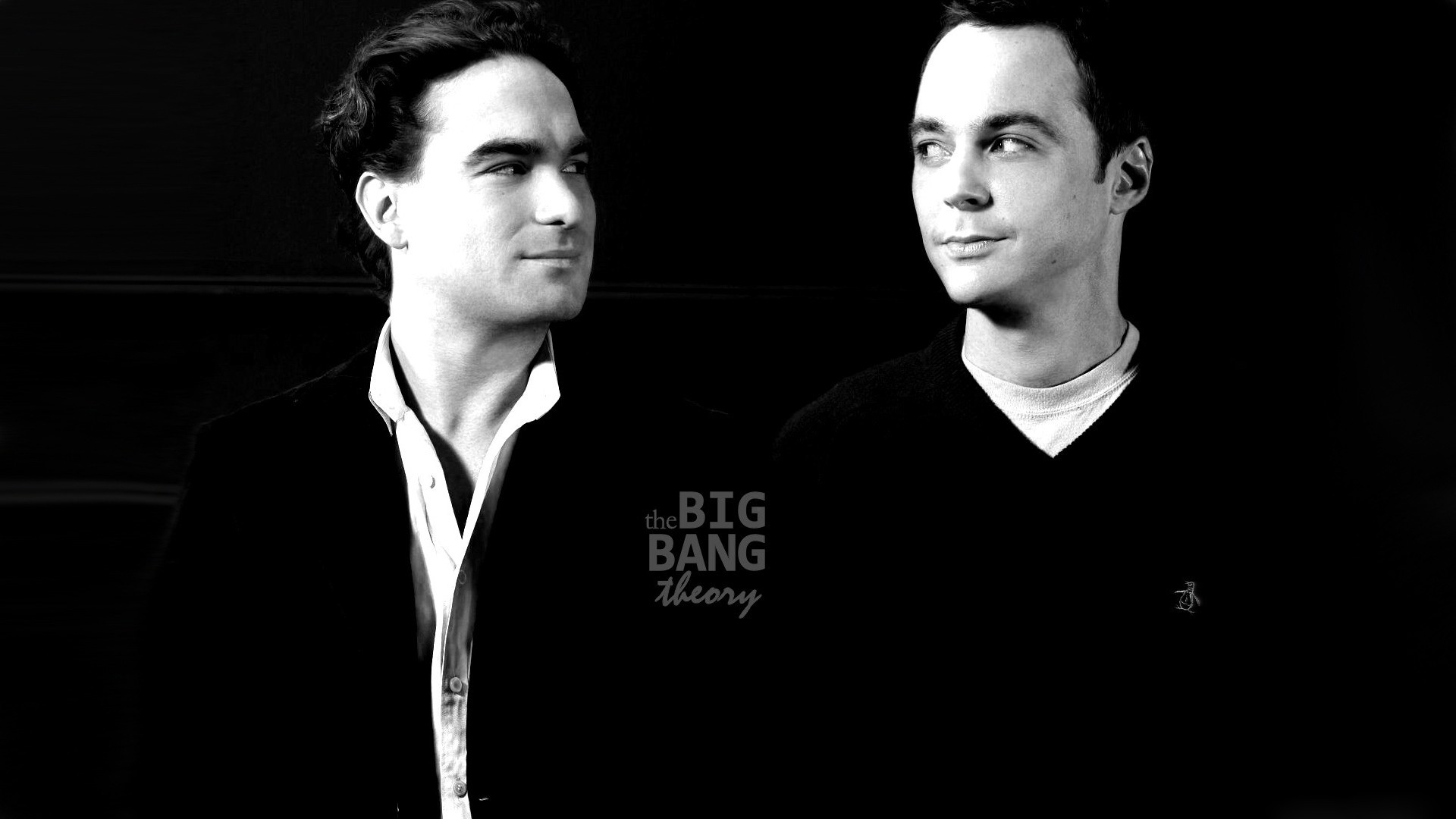 The Big Bang Theory, Sheldon Cooper, Leonard Hofstadter Wallpaper