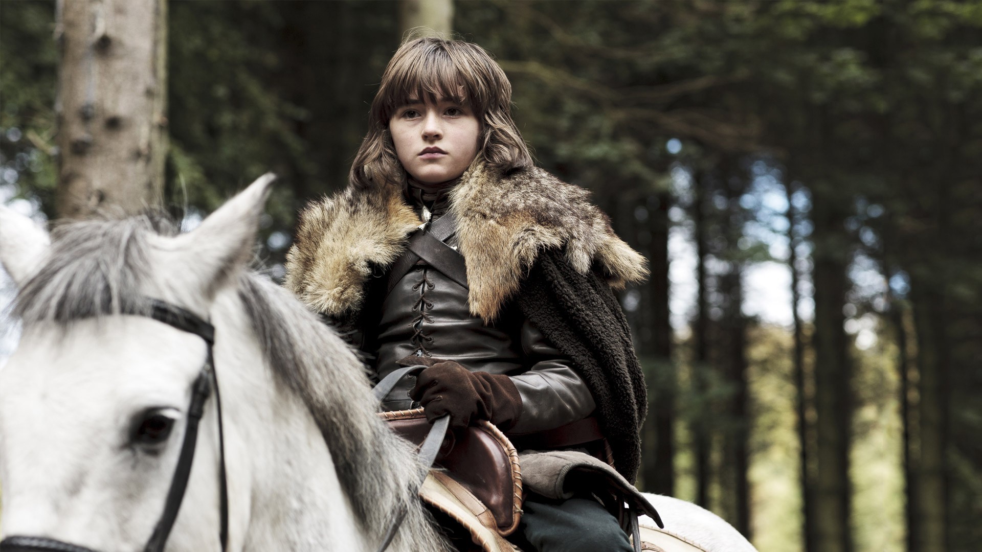 Game Of Thrones, Brandon Stark, Horse Wallpaper