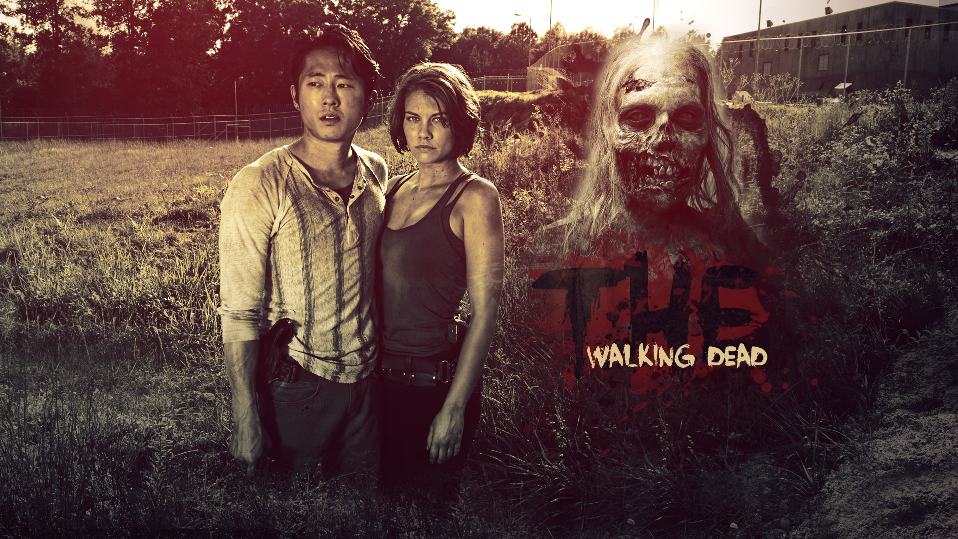 The Walking Dead, Lauren Cohan Wallpaper