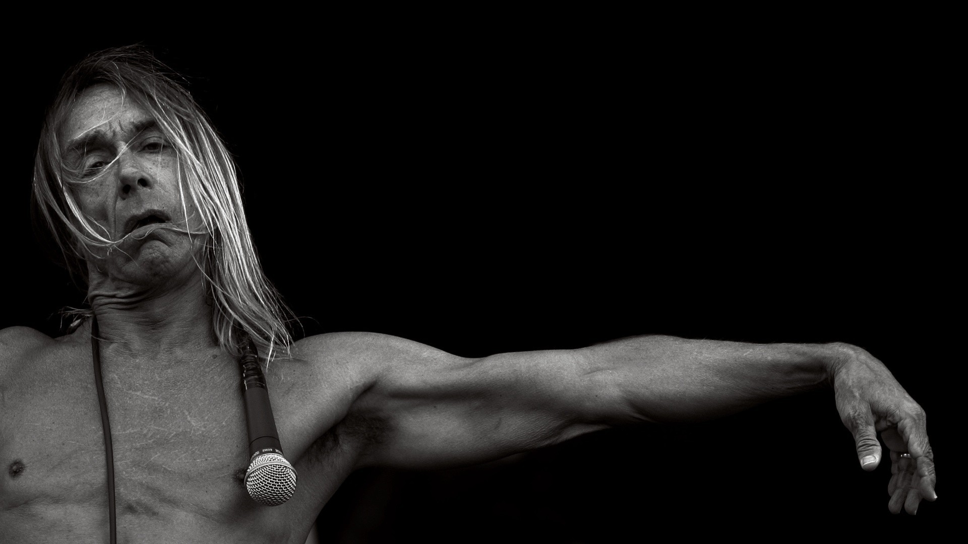 Iggy Pop Wallpaper