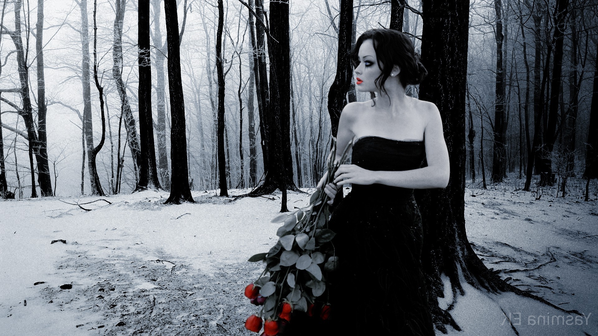 Alexis Bledel, Monochrome, Women, Rose, Forest, Winter, Snow, Dress, Photo Manipulation, Adobe Photoshop Wallpaper