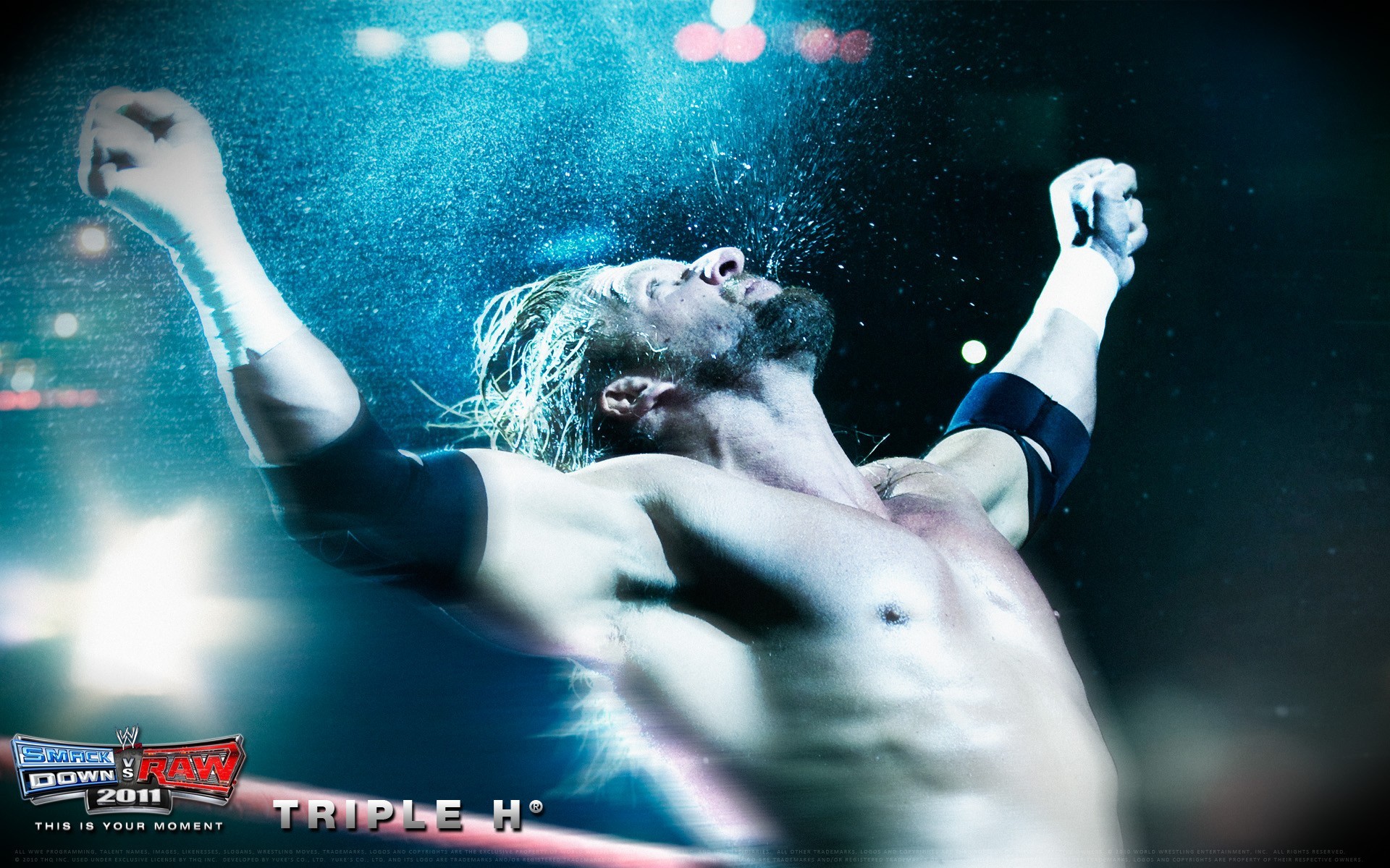 WWE, Triple H Wallpaper