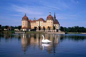 city, Castle, Germany, Swans, Lake