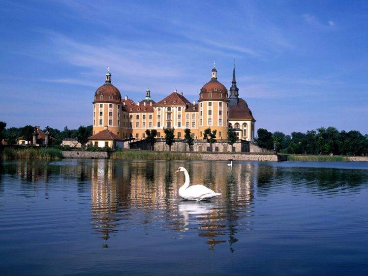 city, Castle, Germany, Swans, Lake HD Wallpaper Desktop Background