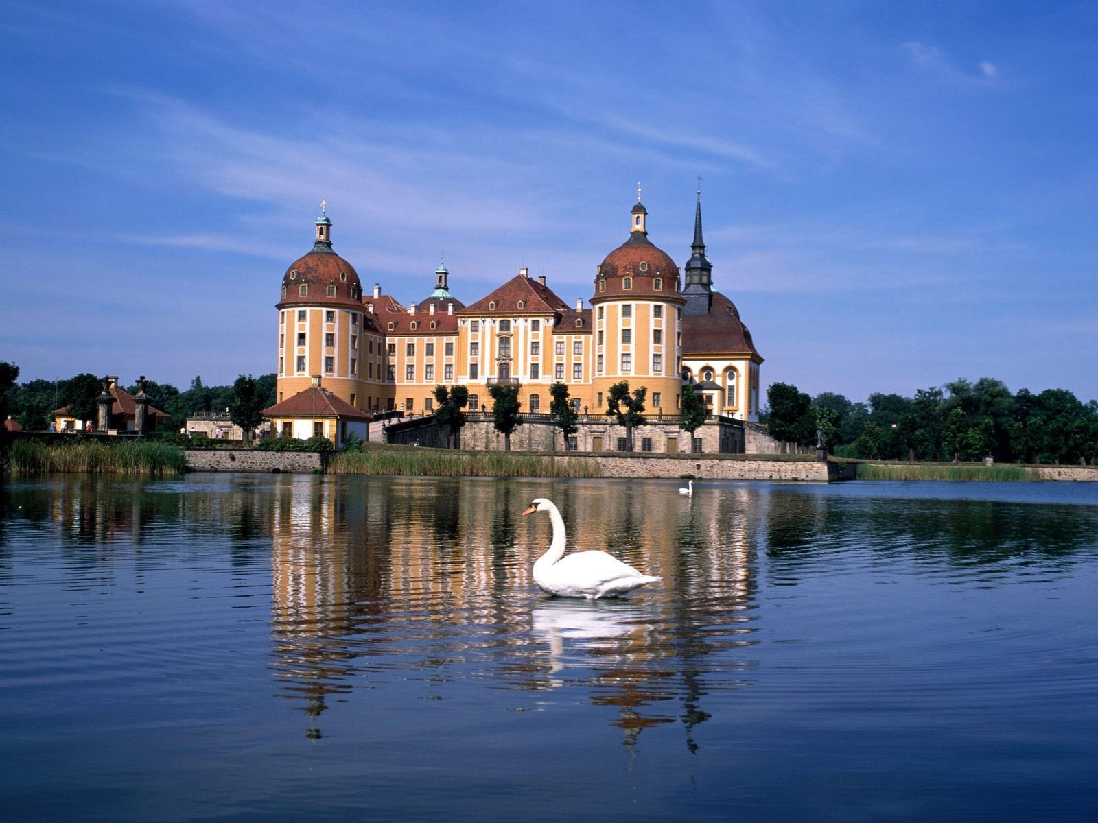 city, Castle, Germany, Swans, Lake Wallpaper