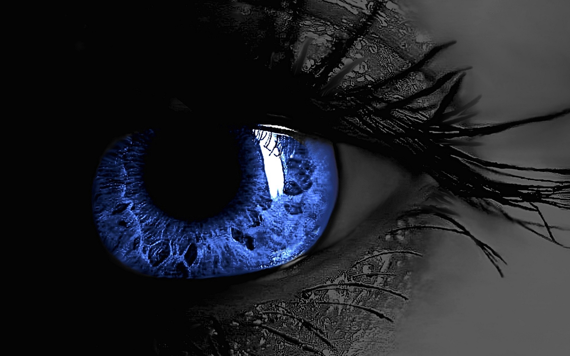 blue Eyes Wallpapers HD / Desktop and Mobile Backgrounds