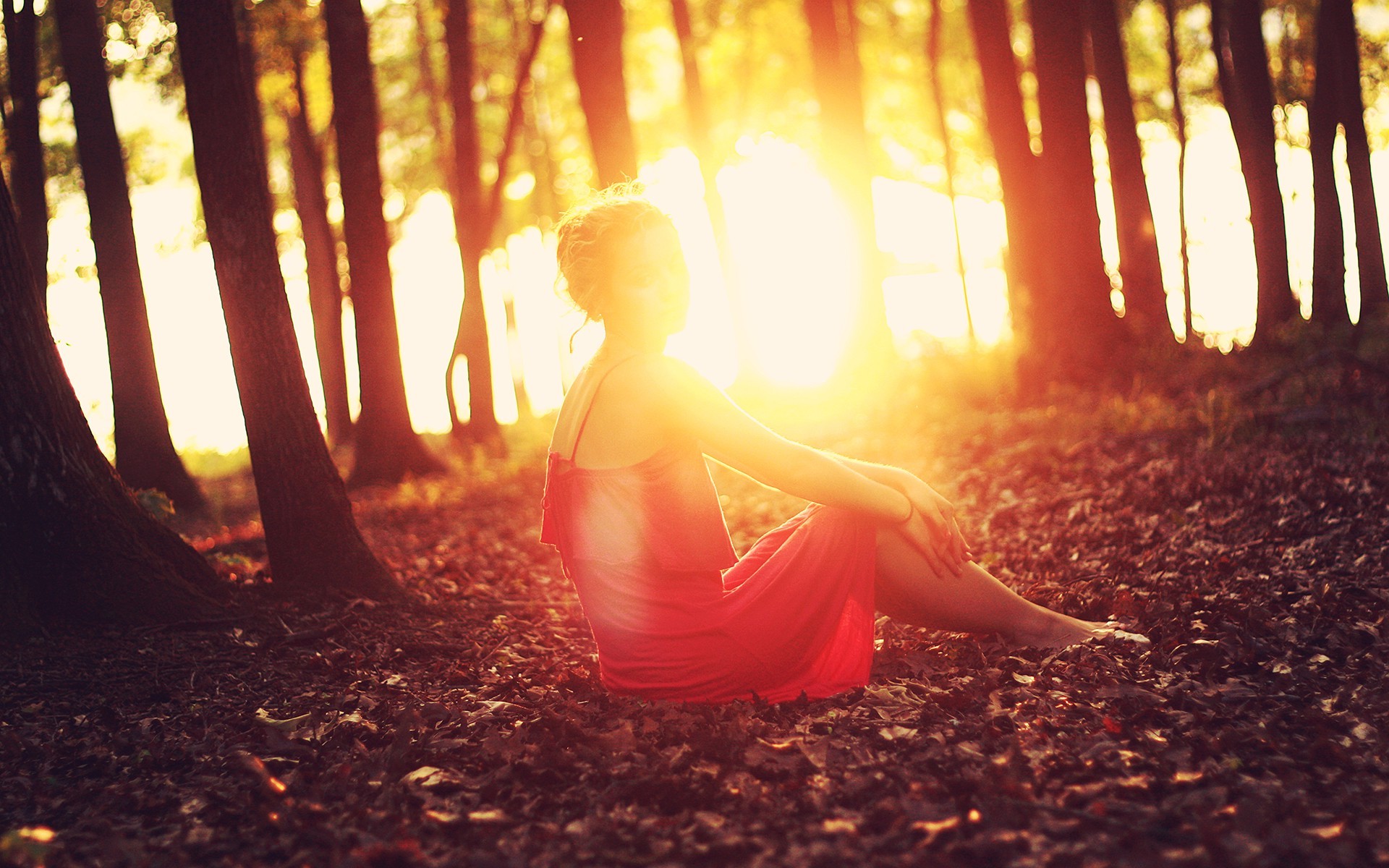 sunlight, Forest Clearing, Trees, Women, Sitting, Leaves Wallpaper
