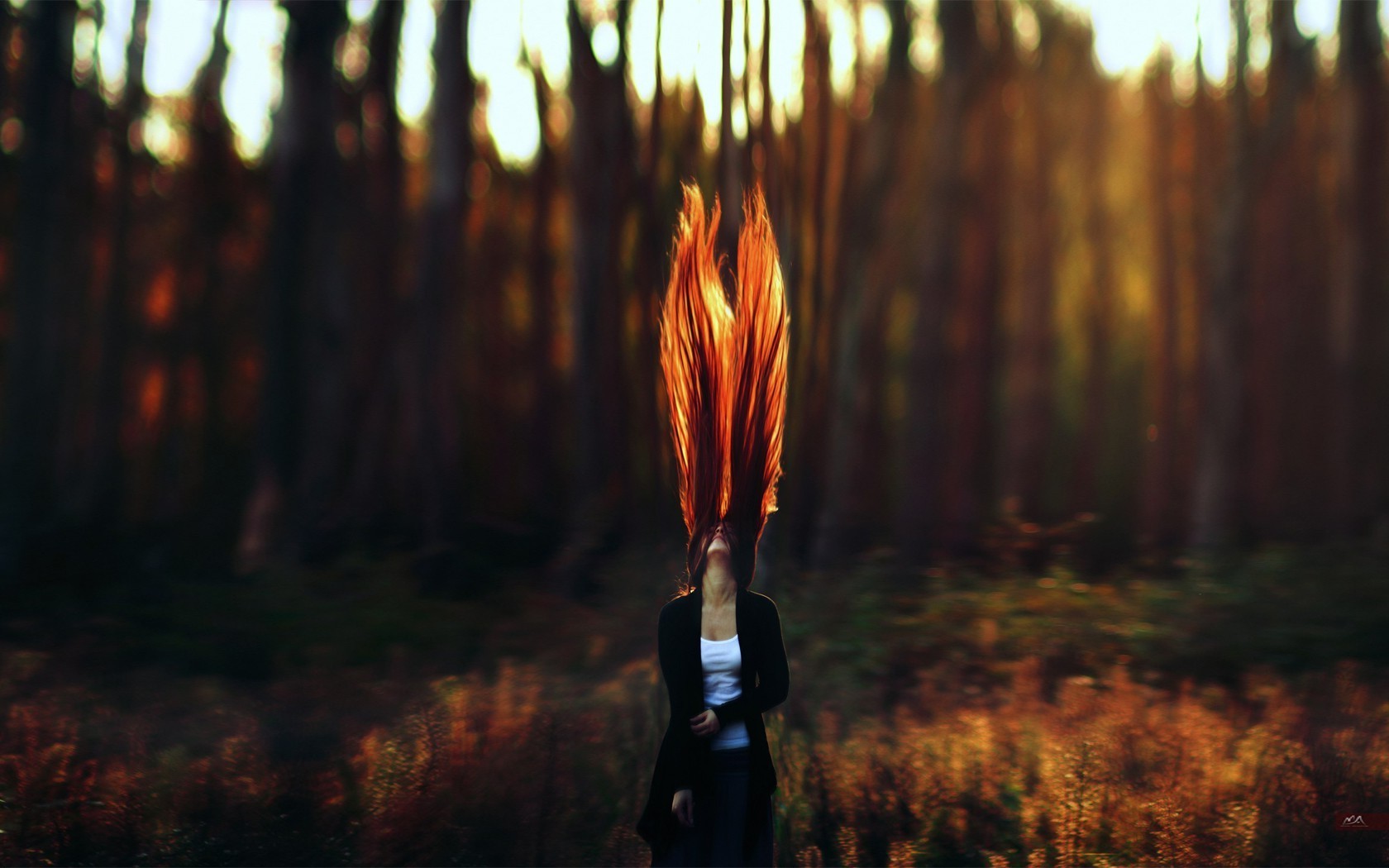 redhead, Forest Wallpaper