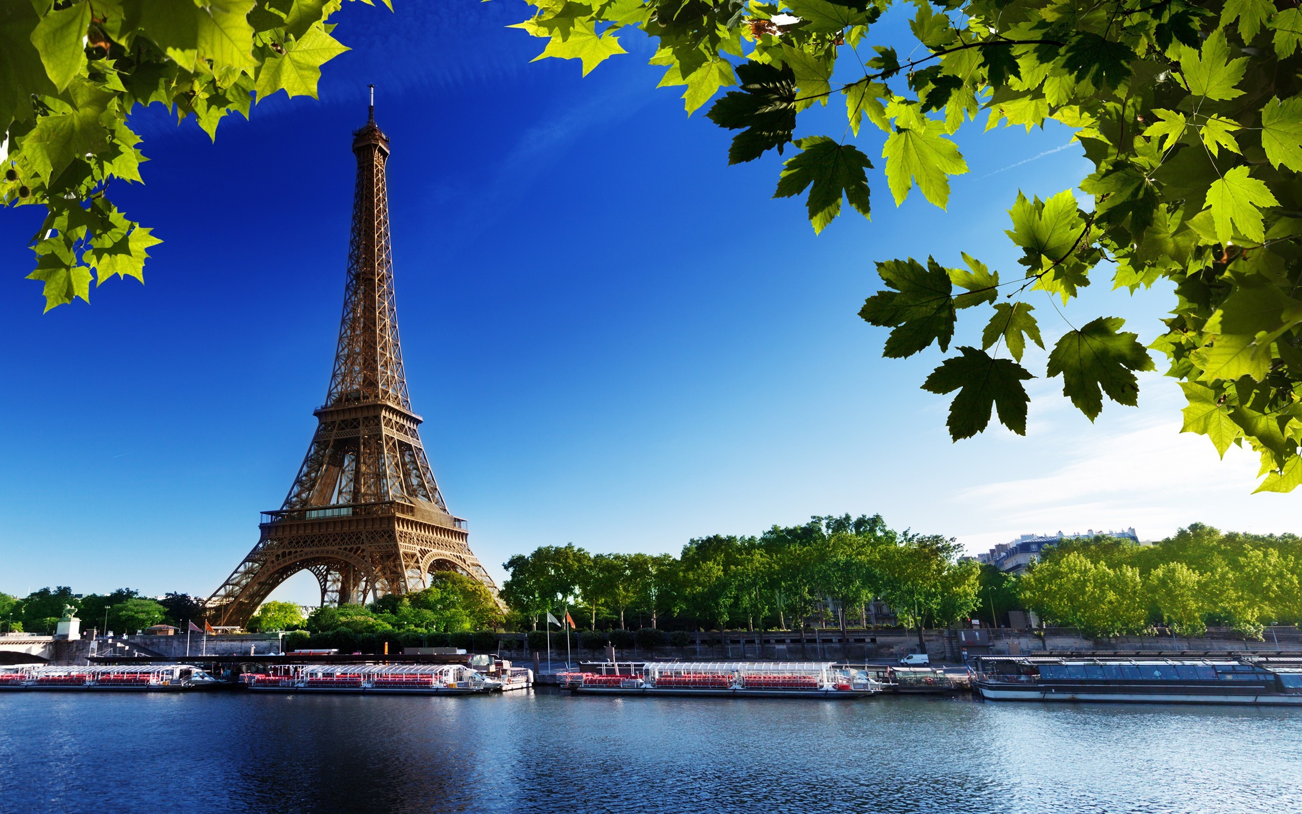 cityscape, France, Paris, River, Leaves, Eiffel Tower Wallpaper