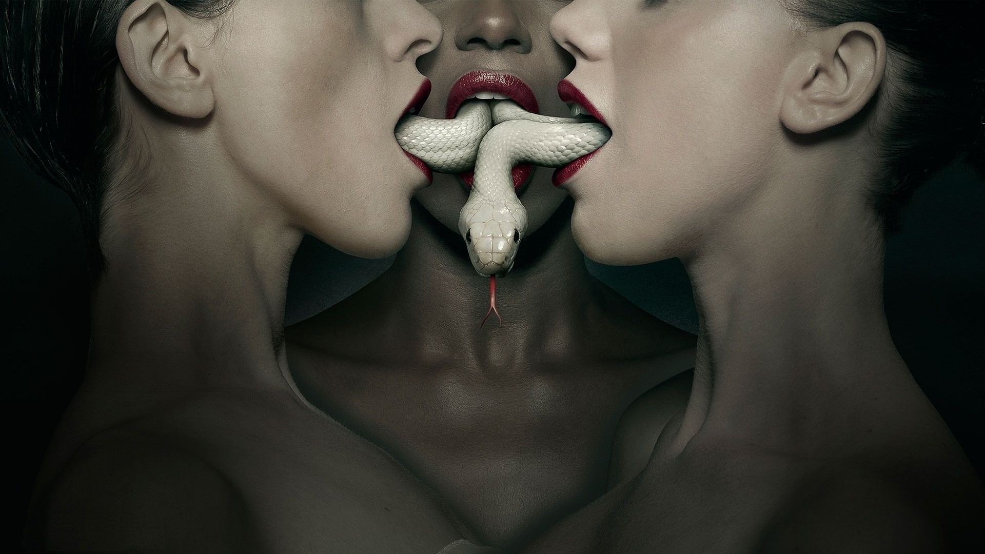 American Horror Story, Snake Wallpaper
