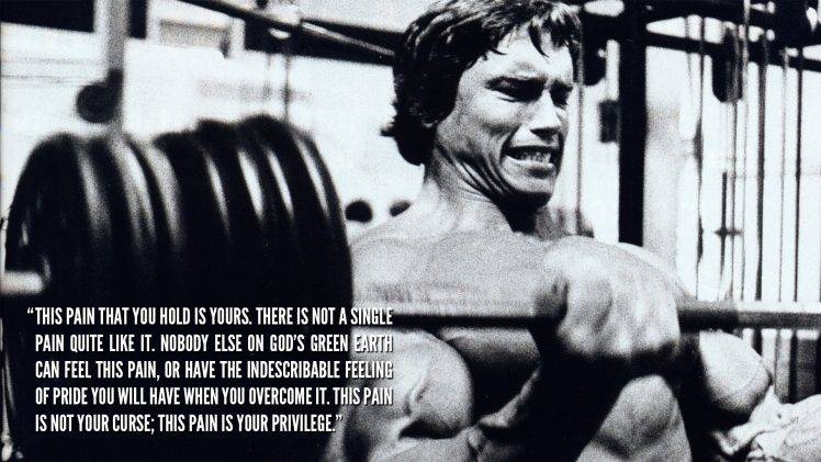 Arnold Schwarzenegger, Bodybuilder, Bodybuilding HD Wallpaper Desktop Background