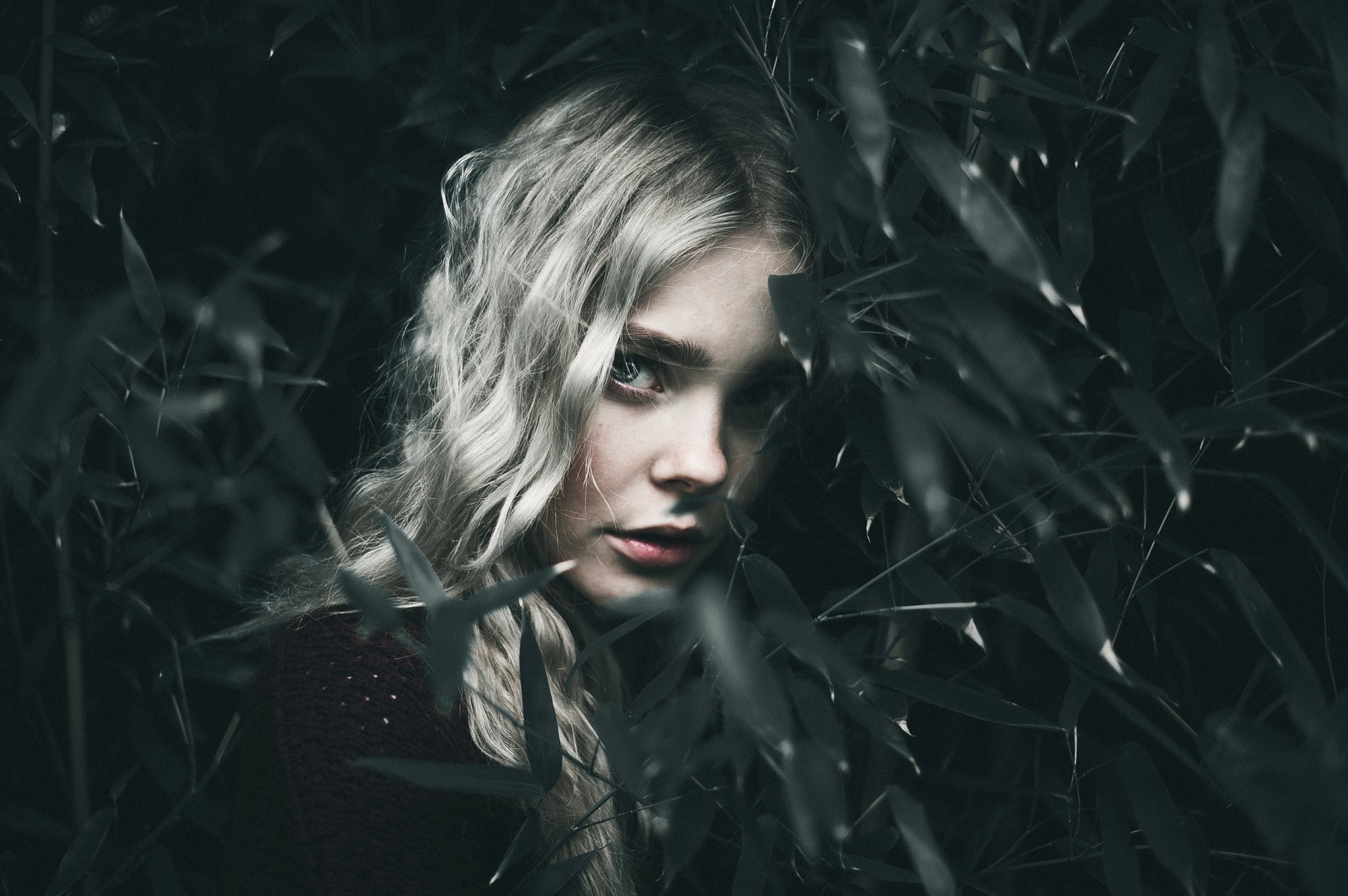 blonde, Women, Face, Model, Plants, Portrait Wallpaper