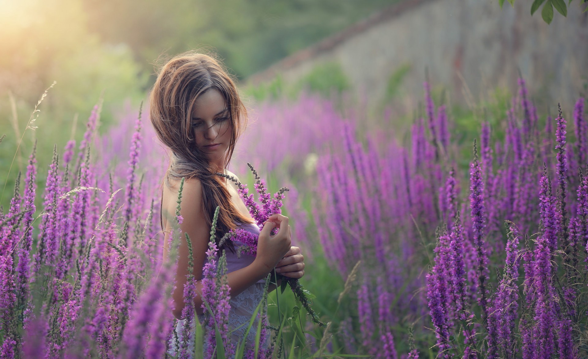 women Outdoors, Women, Model, Field, Plants Wallpaper