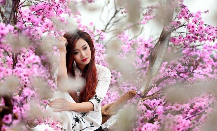 Asian, Women, Model, Trees HD Wallpaper Desktop Background