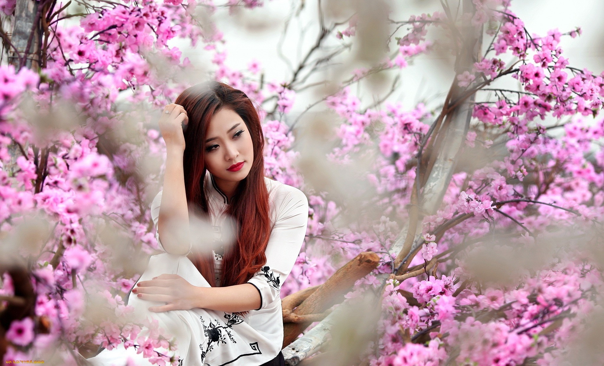Asian, Women, Model, Trees Wallpaper