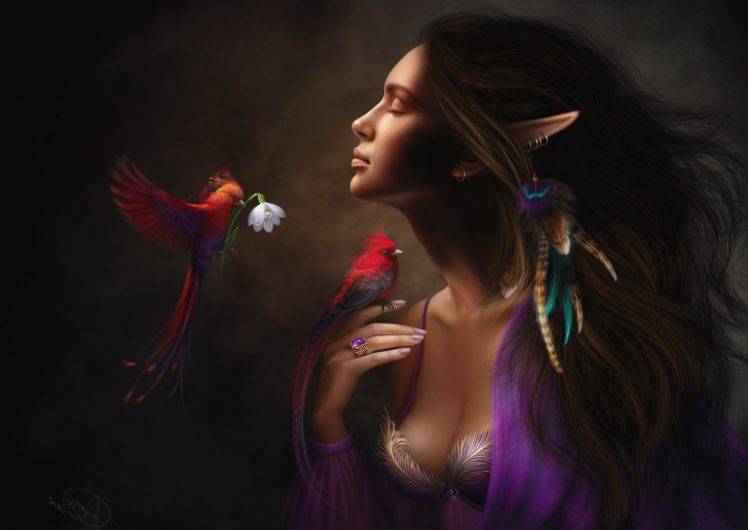 women, Birds, Digital Art HD Wallpaper Desktop Background