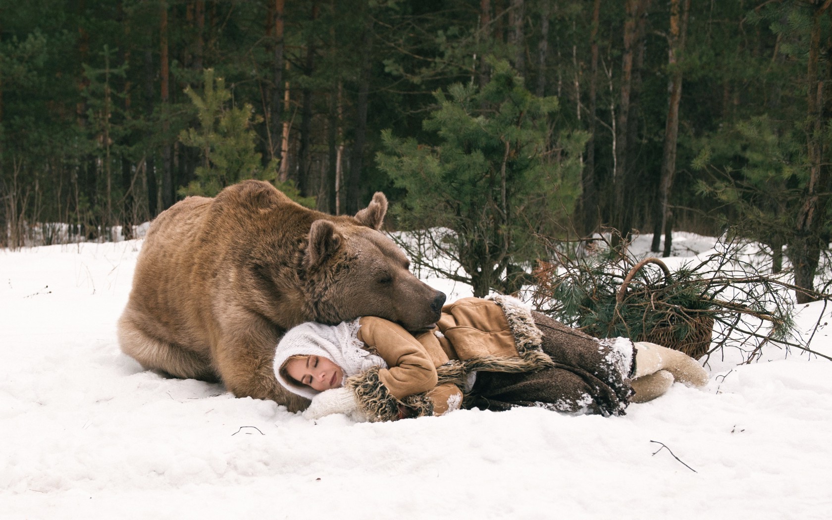 women, Snow, Winter, Animals, Bears Wallpapers HD