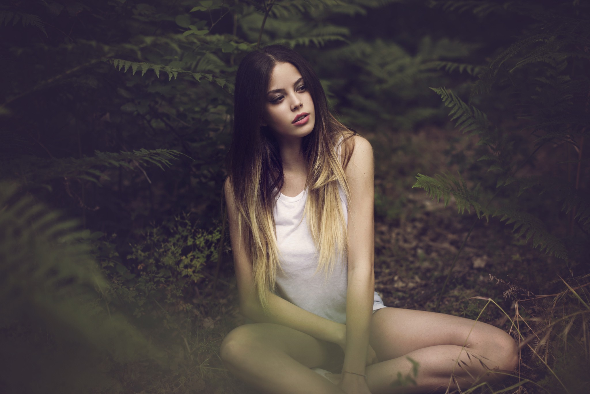 women, Dyed Hair, Face, Sitting, Women Outdoors, Juicy Lips, White Tops, Forest, Portrait, Hazy Wallpaper