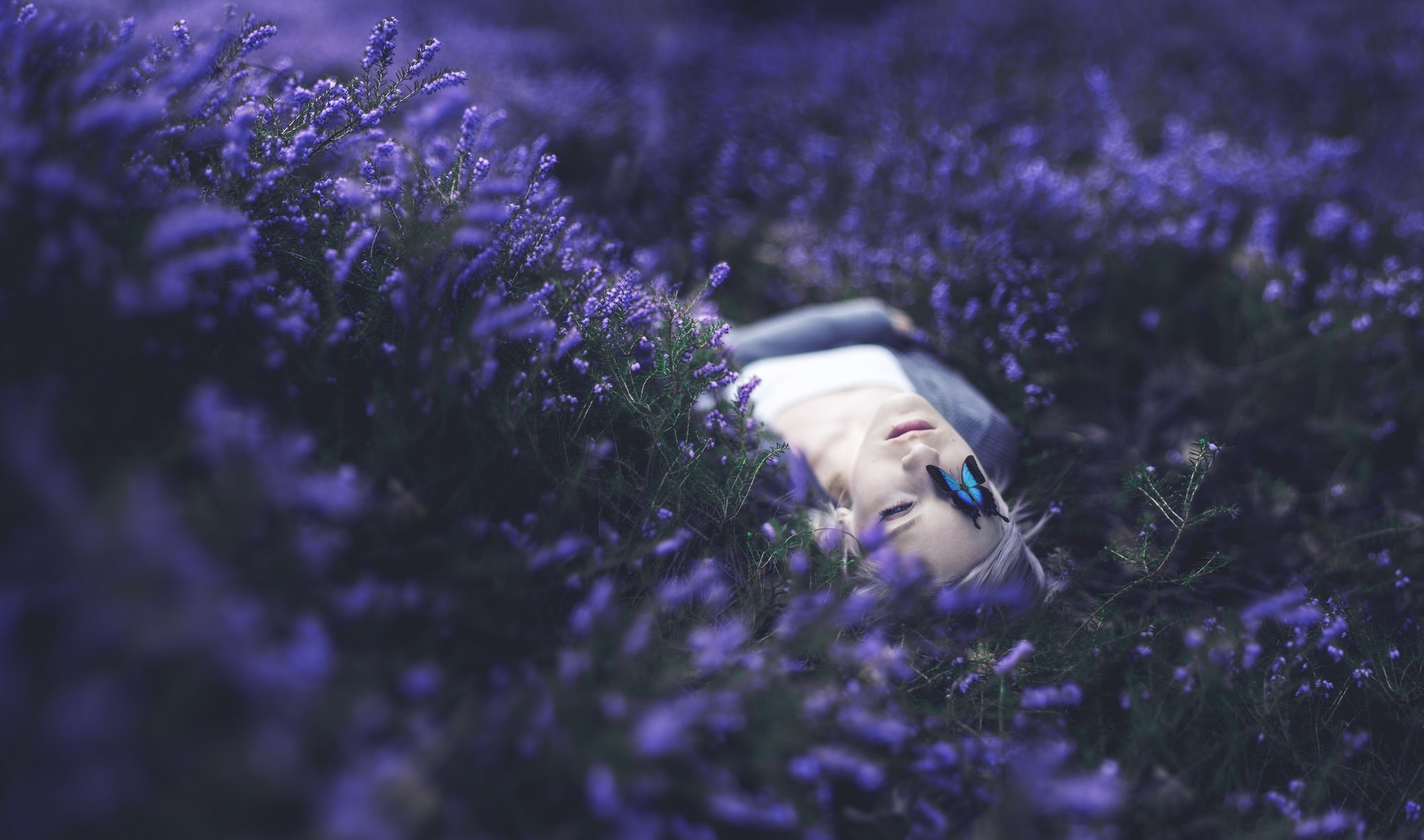women, Lying On Back, Butterfly, Flowers, Purple Wallpaper