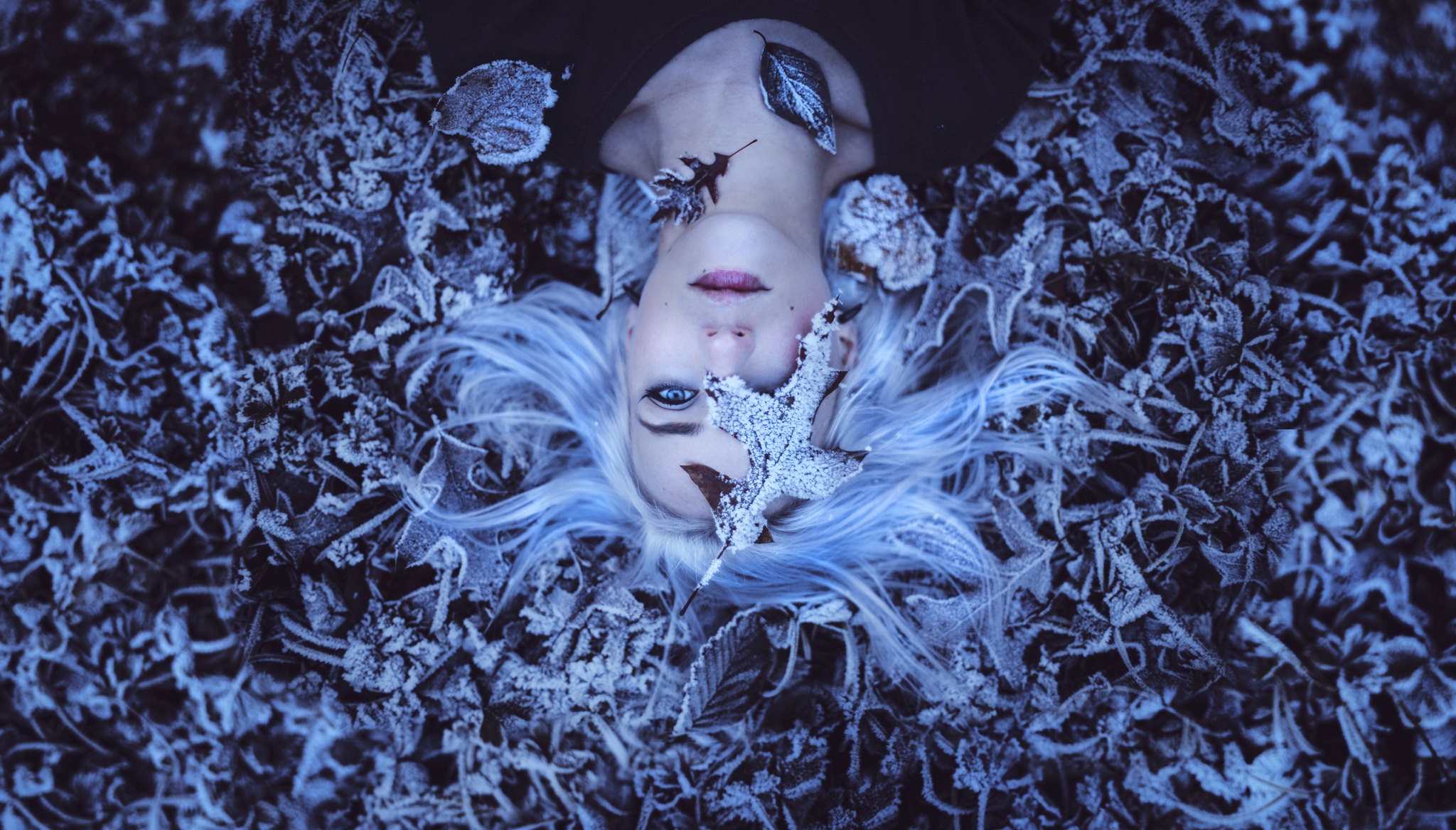 women, White Hair, Blue Eyes, Lying On Back, Leaves, Frost, Winter Wallpaper
