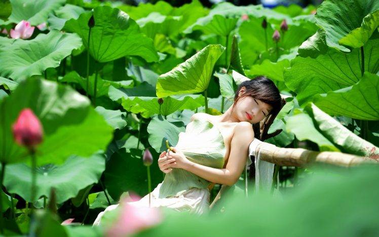 Asian, Women, Model, Green, Plants HD Wallpaper Desktop Background