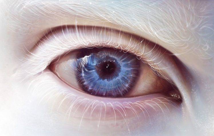eyes, Albino HD Wallpaper Desktop Background
