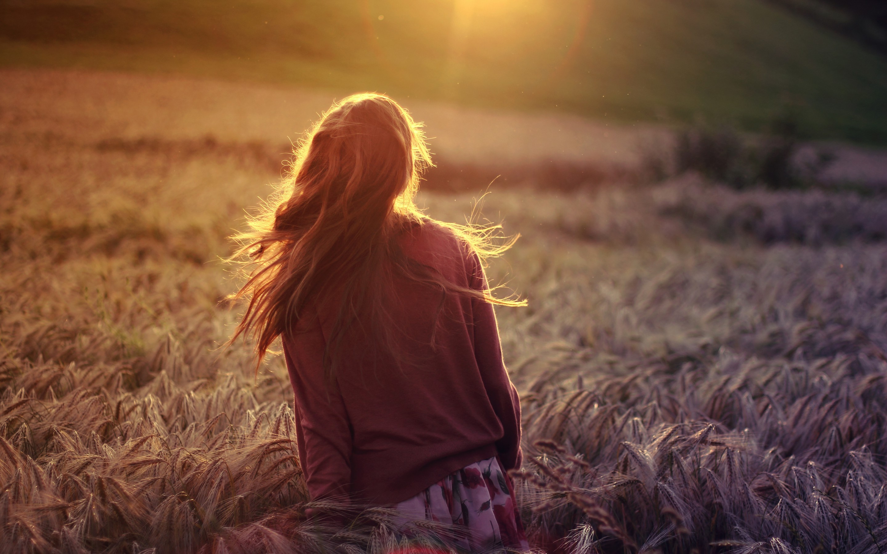 women, Brunette, Field, Sunlight Wallpaper