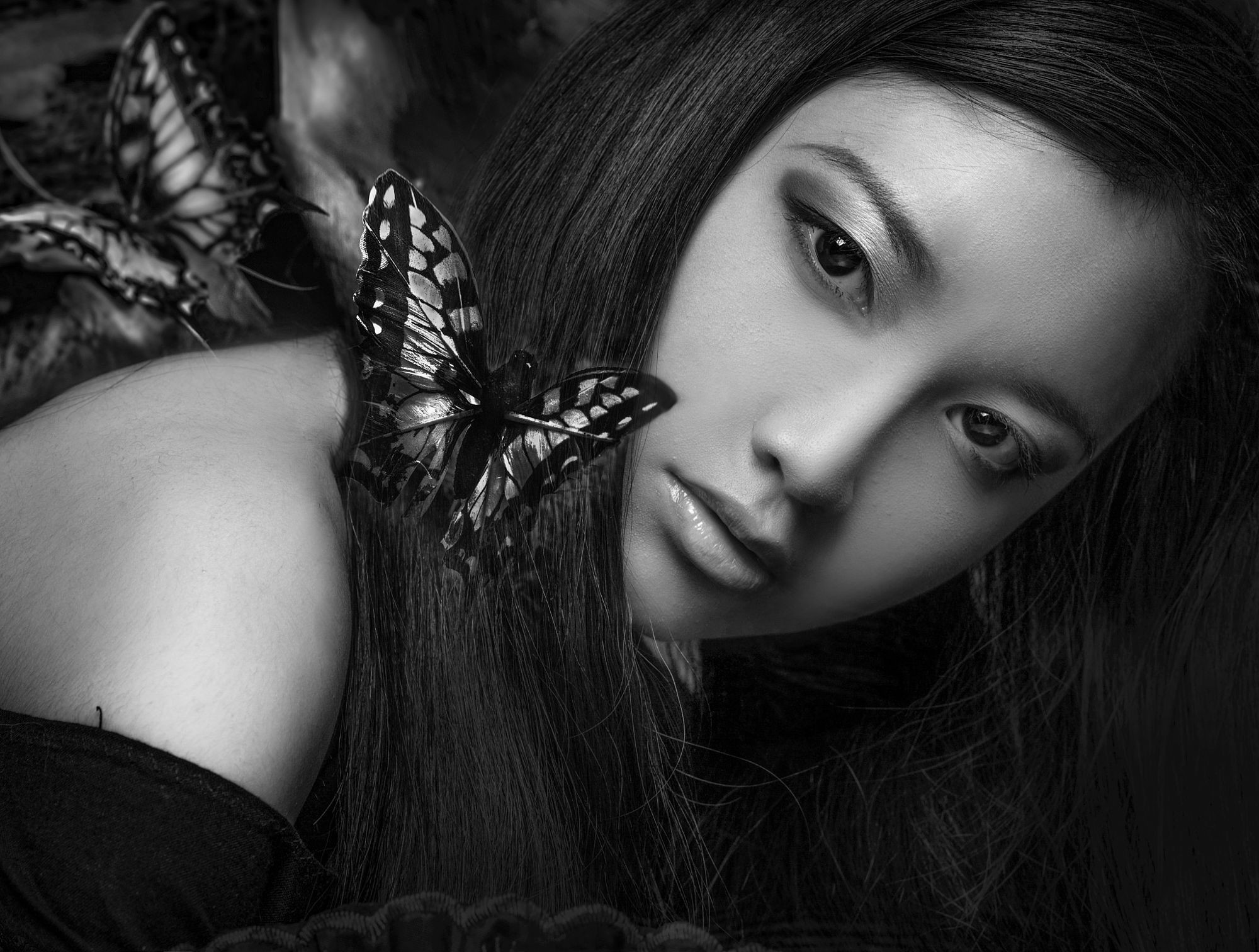 model, Asian, Face, Portrait, Butterfly, Monochrome Wallpaper