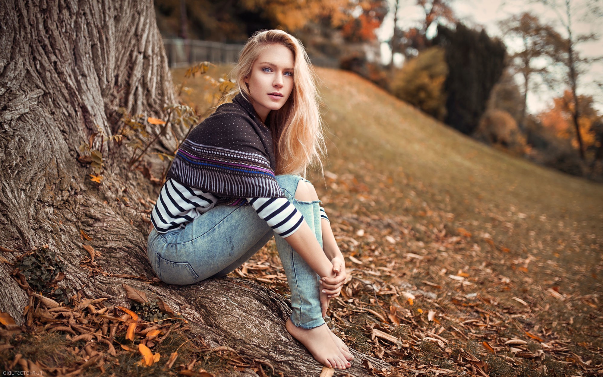 Women Outdoors Blonde Women Blue Eyes Eva Mikulski Trees Torn Jeans Wallpapers Hd 8744