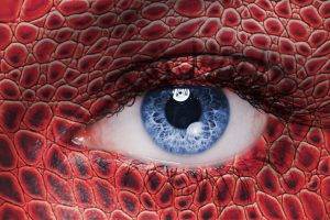 women, Eyes, Looking At Viewer, Blue Eyes, Skin, Reflection, Detailed, Closeup, Snake