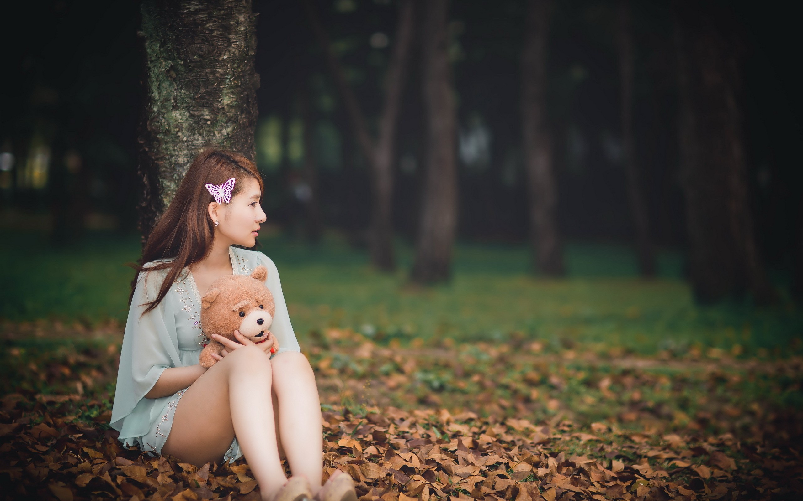 women Outdoors, Asian, Women, Model, Teddy Bears, Ted Wallpaper