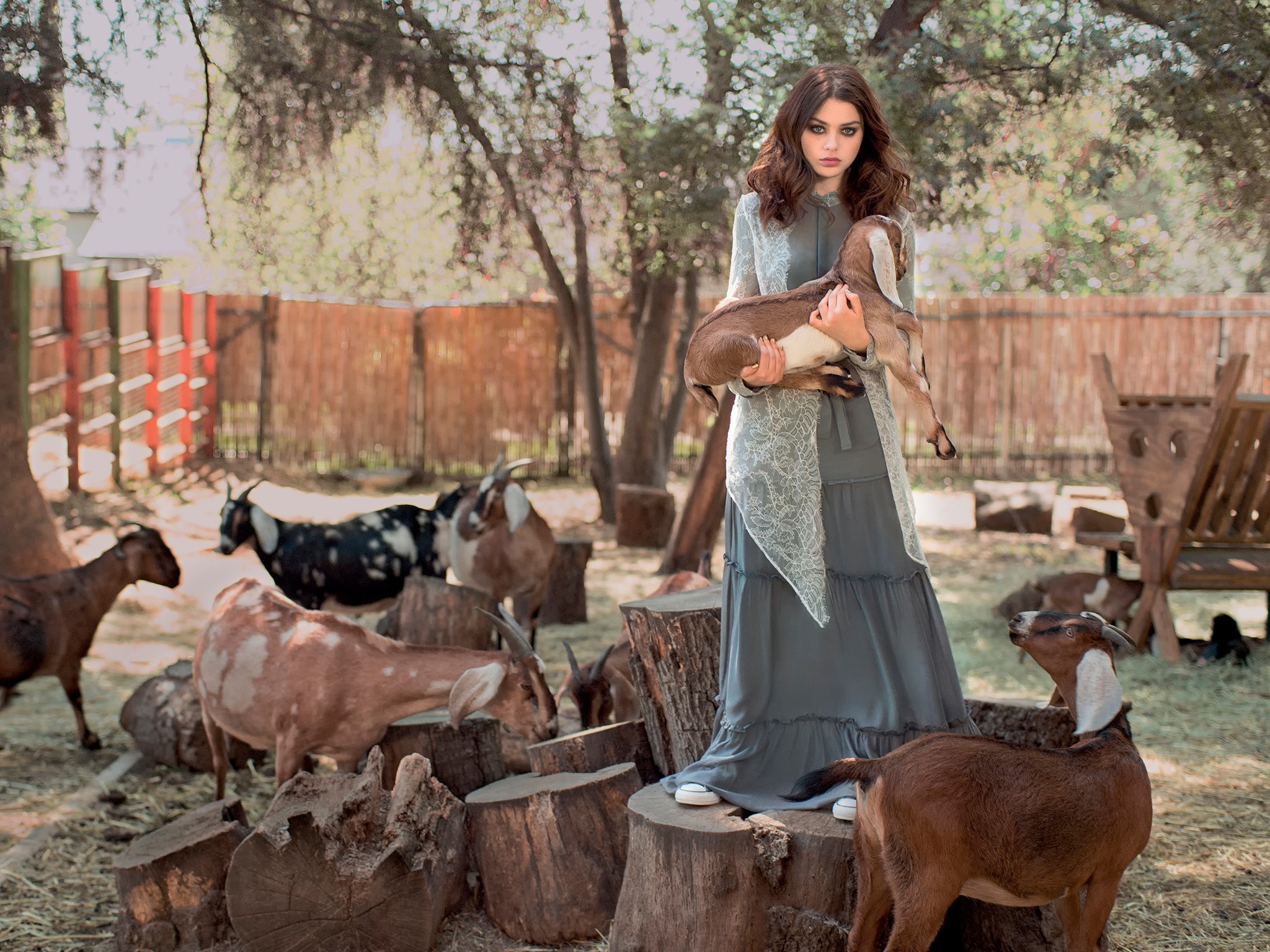 women, Model, Brunette, Animals, Goats, Dress Wallpaper