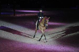 horse, Saumur, Equitation, France