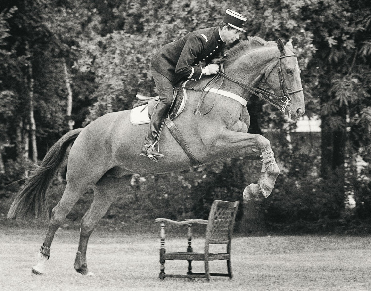 Equitation, Saumur, Horse, Horse Riding Wallpaper