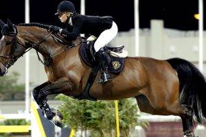 Equitation, Jumping, Horse, Horse Riding