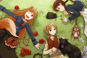 Spice And Wolf, Anime, Holo