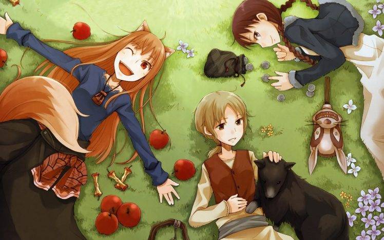 Spice And Wolf, Anime, Holo HD Wallpaper Desktop Background