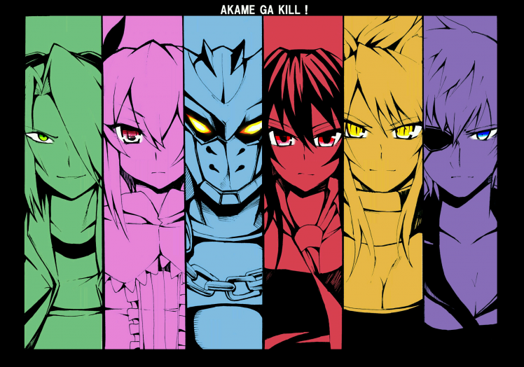Akame Ga Kill!, Akame, Leone, Lubbock, Najenda, Bulat, Incursio, Tatsumi HD Wallpaper Desktop Background