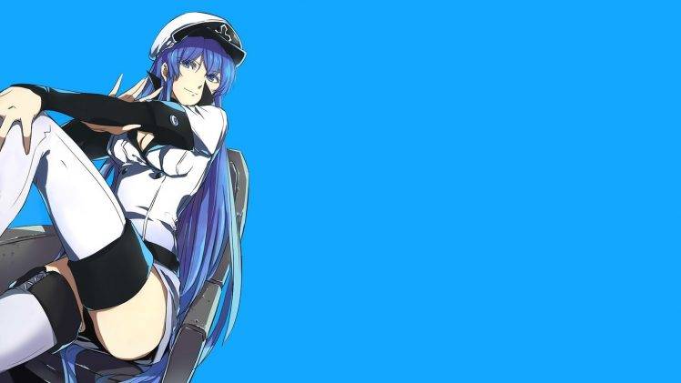 Akame Ga Kill!, Esdeath, Anime, Blue Hair, Chair, Long Hair, Blue Background, Blue Eyes HD Wallpaper Desktop Background