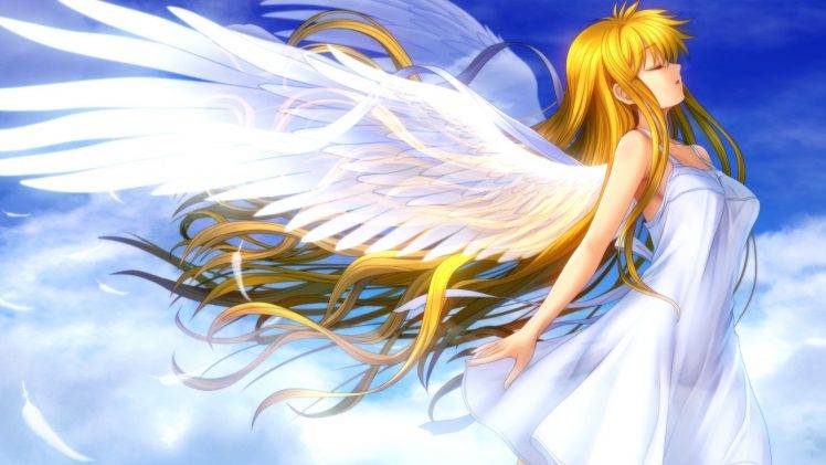 angel, Blonde, Wings HD Wallpaper Desktop Background