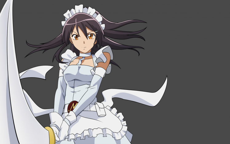 Anime Anime Girls Kaichou Wa Maid Sama Ayuzawa Misaki Maid