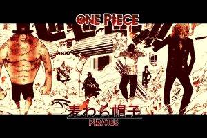 One Piece, Pirates, Strawhat Pirates, Roronoa Zoro, Franky, Nami, Sanji, Usopp, Tony Tony Chopper, Nico Robin, Monkey D. Luffy
