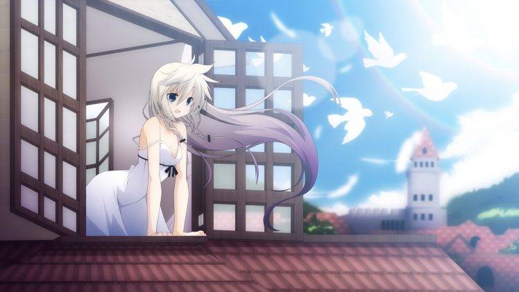 anime Girls, Doves HD Wallpaper Desktop Background