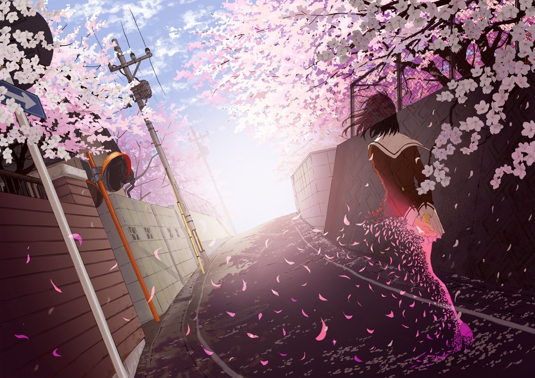 anime Girls, School Uniform, Cherry Blossom Wallpaper