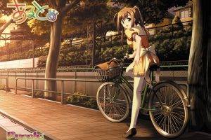 anime Girls, Schoolgirls, Bicycle