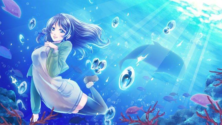 Nagi No Asukara, Chisaki Hiradaira, Fish, Dolphin, Sea, Water HD Wallpaper Desktop Background